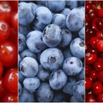 berries-1499900_1920